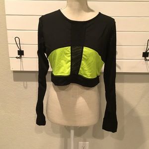 Dazl Crop Top